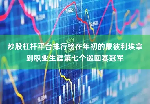炒股杠杆平台排行榜在年初的蒙彼利埃拿到职业生涯第七个巡回赛冠军