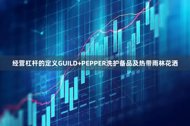经营杠杆的定义GUILD+PEPPER洗护备品及热带雨林花洒