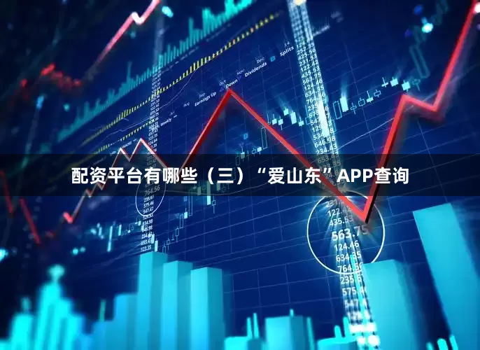 配资平台有哪些　　（三）“爱山东”APP查询