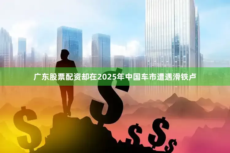 广东股票配资却在2025年中国车市遭遇滑铁卢