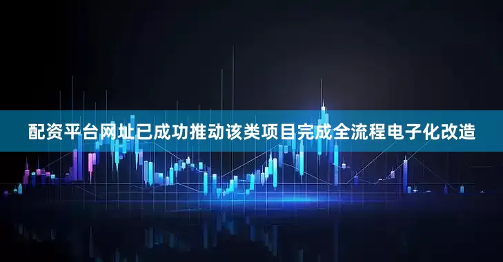 配资平台网址已成功推动该类项目完成全流程电子化改造